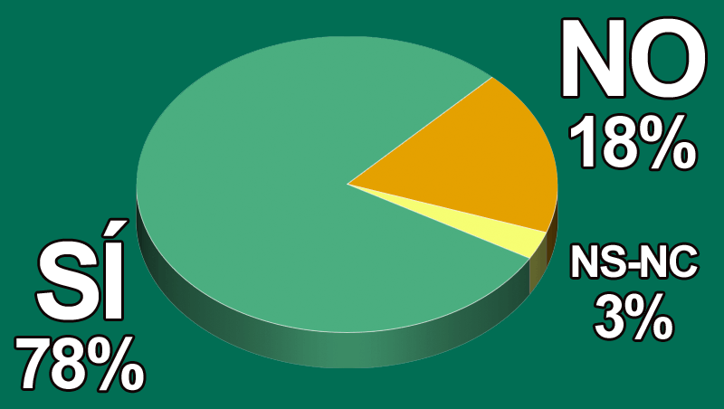 ¿Tienes nuevos proyectos para 2020?