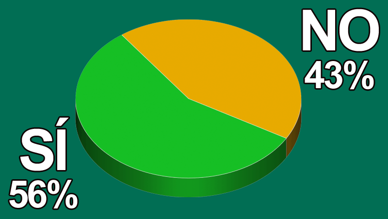 ¿Has vuelto a la actividad con nuevas líneas de negocio?