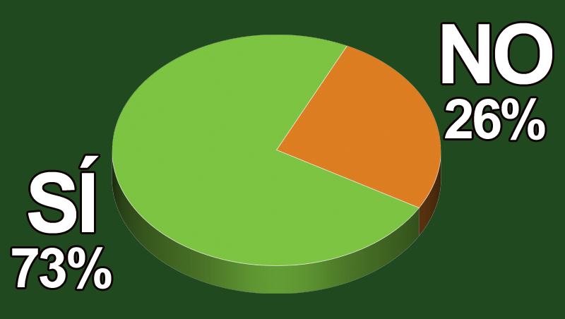 ¿Vas a realizar descuentos y promociones para el Black Friday? 