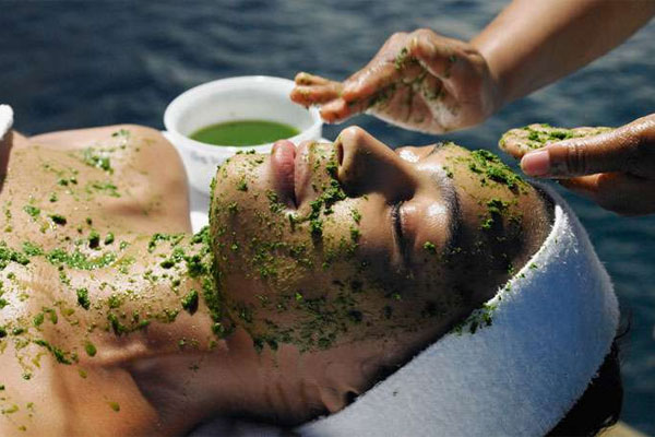 Ecocert: la certificación más ecológica