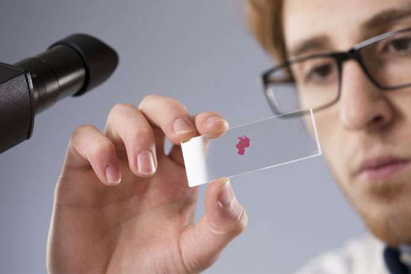 Factor de Crecimiento Epidérmico y su uso en rejuvenecimiento celular