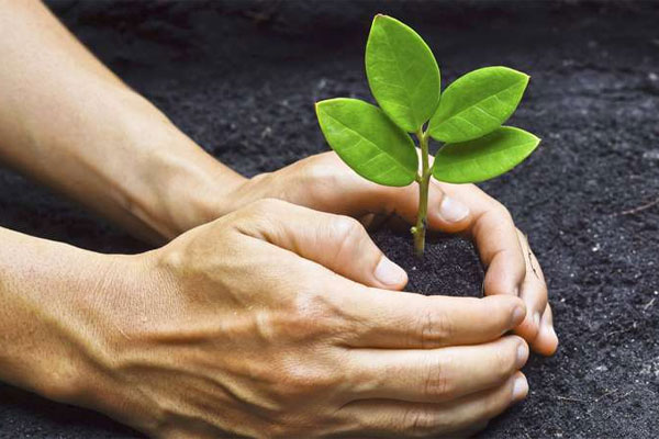 Cosmética natural versus ecológica, semejanzas y diferencias