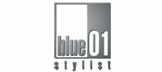 ir a la web de Blue 01 Stylist