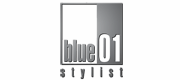 Blue 01 Stylist- Directorio de empresas de peluquería