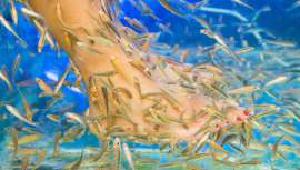 El Consejo Superior de Salud Pública del país galo plantea algunas medidas para advertir de los riesgos que puede tener esta práctica