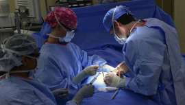 Los cursos no están pensados como una especialización en su origen, pero los médicos colombianos les dan tal uso