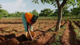 De las casi 3.000 compañías analizadas por la CDP, organización sin ánimo de lucro especializada en medioambiente, la multinacional francesa es una de las dos compañías del mundo con triple A