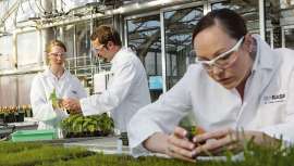 El lanzamiento incluye tres rutinas inspiradas por la vida y muy centradas en las expectativas de los consumidores del futuro