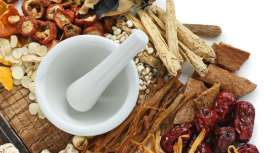 Li Zhi Xin, Catedrático de la World Federation of Chinese Medicine Societies (WFCMS), impartirá el nuevo curso de farmacopea en la Escuela Li Ping de Acupuntura y MTC