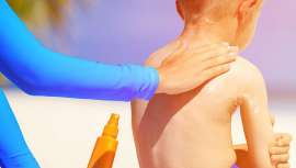 Bilbao recibirá este año la 31ª reunión del Grupo Español de Fotobiología que contará con 54 actividades entre sesiones teóricas, talleres y comunicaciones, entre otros