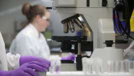 A medida que pasa el tiempo, las células somáticas, como las neuronas, pierden su habilidad para mantener la calidad de su contenido proteínico. Algo que no sucede con las células madre, según algunos estudios