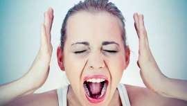 El plan de estudios incluye seis módulos base obligatorios