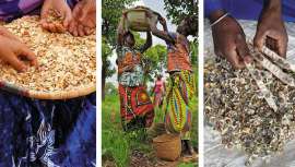 A través de la selección de tres de sus activos vegetales, el karité, el argán y la moringa, la marca se compromete a mantener tres filiales de aprovisionamiento responsables de productores locales en diferentes zonas africanas