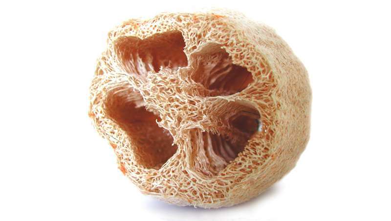 A esponja, um grande exfoliante