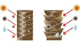 La historia de la humanidad nos remonta a aquellos tiempos donde el hombre aprovechaba el pelo, para cubrir sus cuerpos, no pasar frío y no ser quemados por el sol.