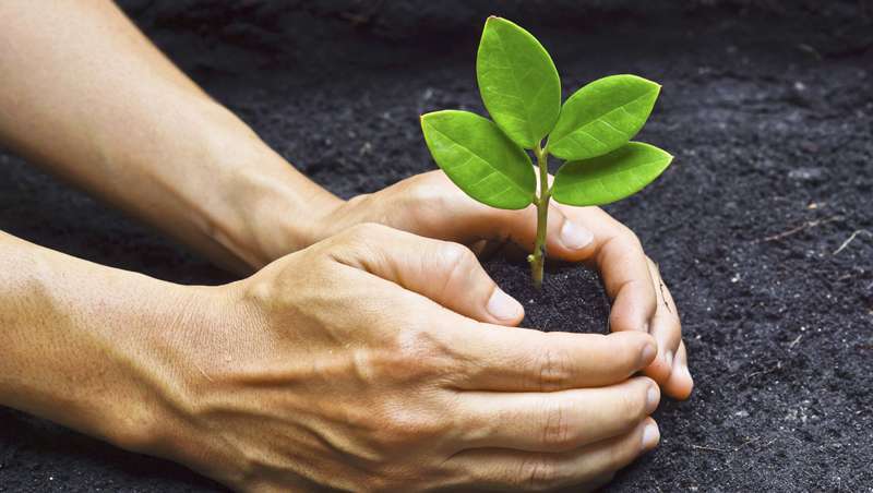 Cosmtica natural versus ecolgica, semelhanas e diferenas