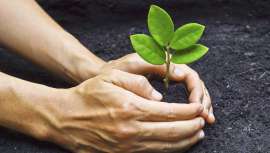 Ambos os termos estão na moda mas são claras as diferenças entre cosmética natural ou ecológica? Inmaculada Canterla, diretora de Cosmeceutical Center e licenciada em Farmácia explica-nos