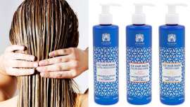 A empresa incorpora produtos específicos para tratar algumas das necessidades que mais preocupam os consumidores. Por exemplo, proteger e devolver a saúde ao cabelo pintado, hidratar o cabelo liso e alcançar um acabado ultra liso