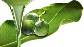 Incorporado a la cosmética, este aceite tiene diversos usos para la piel y ofrece muchos beneficios al ser antioxidante y antiaging