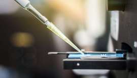 Un estudio reveló que los parabenos en cosméticos y productos de cuidado personal pueden afectar a la calidad del esperma