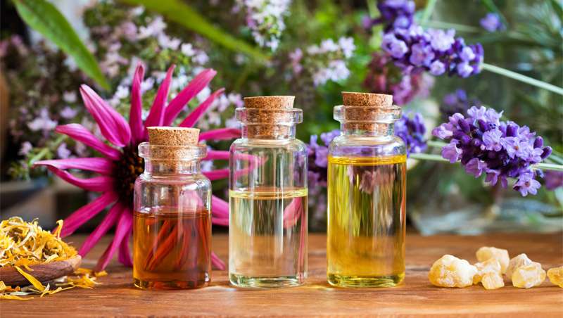 Tienda en línea de Esencias Aromáticas y Aceites Esenciales