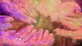 Una convocatoria para recoger proyectos del mundo entero que crean un impacto positivo promoviendo el valor de la belleza