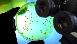 Desde que se descubrió la microbiota intestinal, la industria cosmética se ha cuestionado sobre el impacto de sus productos en los genes de las bacterias faciales. Y quién mejor para responder a esta cuestión que la comunidad científica