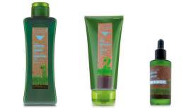 Salerm Cosmetics lanza esta gama que combate picores, descamación y grasa. Todos los beneficios de la miel para cueros cabelludos sensibles o desequilibrados 