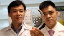 Este revolucionario método, destinado a reducir la grasa de la barriga, ha demostrado ser muy prometedor en ensayos de laboratorio