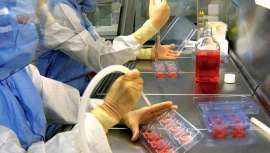 El gigante asiático, China, sigue testando en animales. LOréal abre un laboratorio de piel humana en Shangai con el objetivo de poner fin a dicha práctica en un país que pronto se convertirá en nº 1 en lo referido a la elaboración cosmética 