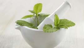 Todos los socios de SEFIT cuentan con un descuento exclusivo y directo de matriculación del 10% sobre el precio base en su Máster y Postgrados de Fitoterapia