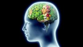 Hormona cuyo funcionamiento ayuda a prevenir la obesidad y la diabetes, la leptina o sus receptores son los responsables de las ganas del apetito o no, la hiperfagia, la obesidad y la diabetes tipo 2