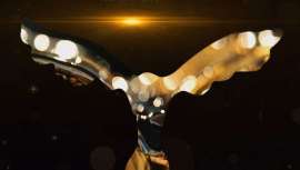 Este trofeo internacional, que tiene el objetivo de promover y alentar importantes prácticas médicas, destaca a los mejores profesionales de la medicina y la cirugía estética por sus mejores casos clínicos