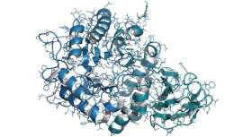 La enfermedad de Fabry es una alteración genética hereditaria causada por mutaciones en el gen alfa-galactosidasa A (GLA)