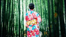 El bambú es una planta a la que las culturas asiáticas han otorgado desde hace siglos multitud de propiedades medicinales y espirituales