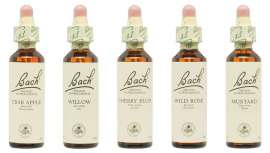 Las 38 Flores de Bach Originales, las únicas certificadas por el Centro Bach, están enfocadas a las emociones pasajeras o habituales del individuo y contribuyen a la armonía emocional diaria. Se presentan en frascos cuentagotas