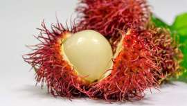 Alimentos de moda que están creando tendencia en el mundo de la nutrición, con grandes propiedades y sabores sorprendentes a tener en cuenta en la consulta de cualquier experto del sector