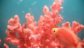 Para escoger el color del año, los encargados del Instituto Pantone viajan por el mundo en busca de nuevas influencias, tendencias y experiencias