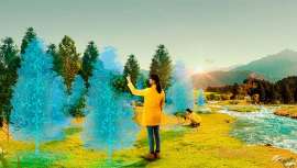 Con este proyecto se ha ayudado a reforestar una superficie de 2,5 hectáreas de bosque que simboliza la historia y el compromiso de la firma con la naturaleza