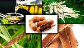 Con componentes 100% de origen natural, Restore Plus es un básico imprescindible para el uso profesional en salones de peluquería que sólo obtiene ventajas y beneficios, y lo más importante, melenas extraordinarias y clientes satisfechos