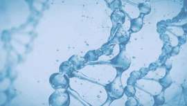 Estudio genético creado por los laboratorios Synlab que determina variantes genéticas relacionadas con intolerancia a la lactosa y gluten, sensibilidad a la sal, alcohol y cafeína, detoxificación hepática y niveles de triglicéridos y colesterol