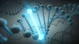 En total, 640.000 variaciones genéticas analizadas por un prestigioso equipo especialista para la prevención, diagnóstico, tratamiento, dietas, entrenamientos, suplementación y la mejora en general de la salud del paciente