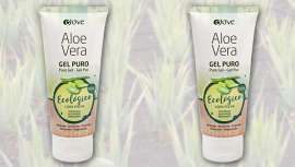 El ya bautizado como oro transparente es el Aloe Barbadensis Miller, una variedad que se cultiva de manera ecológica en el archipiélago canario