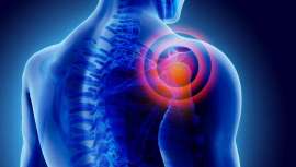 1 de cada 4 personas en España padecen dolor crónico. El Comité para una vida sin dolor se crea para informar, concienciar y proporcionar las herramientas necesarias en la lucha contra el dolor