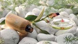 Basada en el Ayurveda, la Aromaterapia y las Flores de Bach, Terai Cosmética irrumpe en el panorama de la belleza de un modo natural y científico, de manos de su creadora, la doctora Verónica García