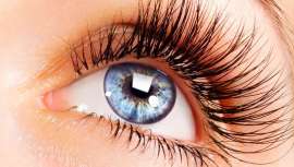 Es una de las técnicas en las que existe mayor demanda que oferta. Por eso, el microblading o técnica de diseño de cejas pelo a pelo, se convierte en un tratamiento altamente rentable. ¡Descubrámoslo! 