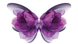 El plan también pretende poner en marcha mejoras importantes en las áreas Consumer Beauty y Luxury 