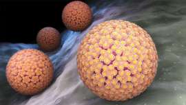 El 80% de la población sufre esta infección que suele desaparecer de manera espontánea. Sin embargo, el  contagio del VPH puede provocar el cáncer de cuello de útero por lo que es necesario conocerlo a fondo