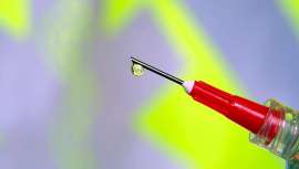 Normaliza la actividad de las glándulas sudoríparas