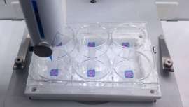 Modelos bioimpresos de piel en 3D, totalmente reconstruida, para el desarrollo de nuevas y revolucionarias aplicaciones y bioactivos destinados al cuidado de la misma, su calidad, salud y antienvejecimiento